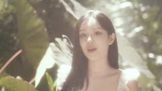 (G)I-DLE Bloom MV