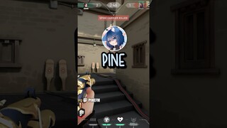 PINE makes her angry..