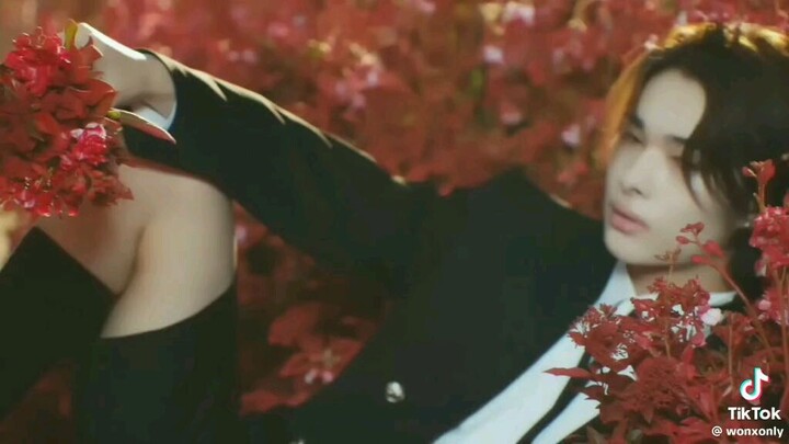 my sev(en) ♡♡