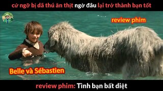 phim Tình Bạn Giữa Người và Thú cực hay - review phim Tình Bạn Bất Diệt