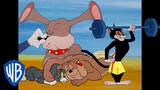 Tom & Jerry em Português 🇧🇷 | Brasil | Gatos vs. Cachorros | @WBKidsBrasil​