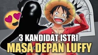 3 KANDIDAT ISTRI MASA DEPAN LUFFY!?