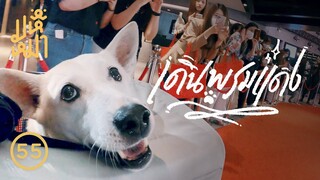 Vlog พาหมาขึ้นเวทีรางวัล - มหึหมา EP 55