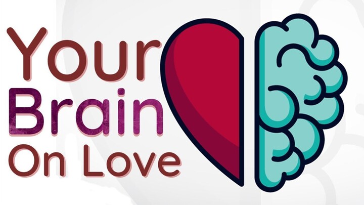 ❤️ This Is Your Brain on Love ❤️