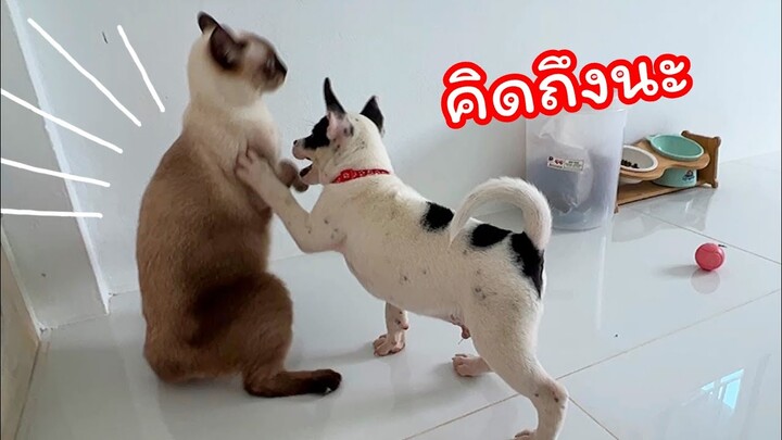 ไม่ได้เล่นไม่กี่วันเหมือนจากกันเป็นปี