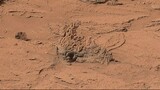 Som ET - 78 - Mars - Curiosity Sol 739 - Video 1