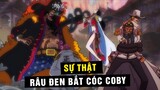 Sự thật vụ bắt cóc Đại Tá Coby , Râu Đen muốn biết bí mật vũ khí Seraphim [ One Piece 1059 ]
