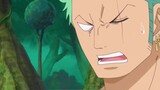 One Piece | Road Blind Zoro | Chopper said he would give you medicine to cure road blindness next ti