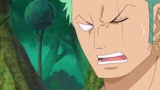 One Piece | Zoro Buta Jalan | Chopper bilang lain kali dia akan memberimu obat untuk menyembuhkan bu