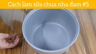 Cách làm sữa chua nha đam p5