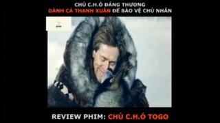 Tóm tắt phim: Chú chó Togo p4 #VideoHayNhất