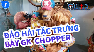 Đảo Hải Tặc Trưng bày GK
Chopper_1