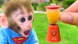 Baby Monkey Bon Bon drinks fruit smoothies and plays with ducklings and puppy in the water park