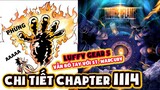 Chi Tiết One Piece 1114 | Toàn Tin HOT: Hình Dạng Mother Flame, Joy Boy Là Hải Tặc Đầu Tiên