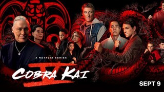 Cobra Kai Season 5 Episode 2 In Hindi Dub