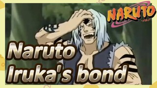 Naruto Iruka's bond