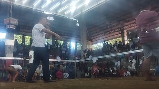 02/20/24, 1st fight win @ taal coliseum entry name; RMJ CALAMBA, CHAMPION