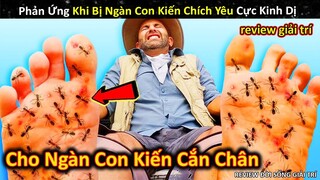 Phản Ứng Khó Đỡ Khi Bị Ngàn Con Kiến Chích Yêu Cực Kinh Dị || Review Giải Trí Đời Sống