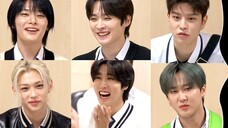 Stray Kids đóng vai chính trong trailer "Knowing Brothers"