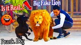 Fake Tiger Vs Real Dog, Super Funny Video prank 2022