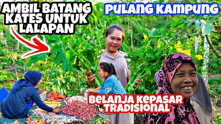 AMBIL BATANG KATES UNTUK LALAPAN‼️ BELANJA KE PASAR TRADISIONAL||KIKI PULANG KAMPUNG 🔥🔥