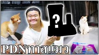 PDNทาสแมว1 - เครื่องให้อาหารอัตโนมัติน้องแมว 🐱