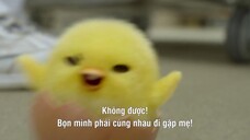Gudetama: Cuộc phiêu lưu của quả trứng lười EP 2 [Sub Việt]