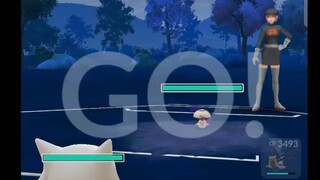 Pokémon GO 166-Rocket Grunt