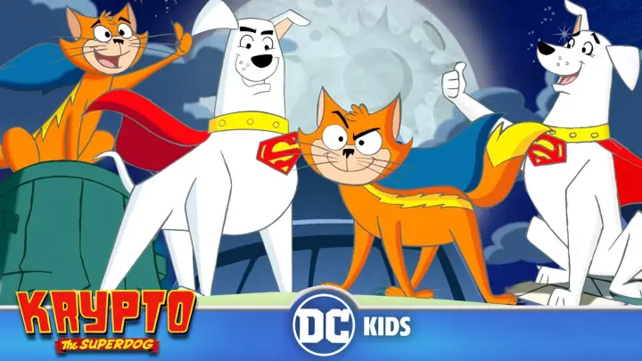 Krypto The Superdog | Krypto And Streaky Save The Day | @DC Kids