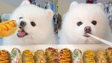 【Pet】Dogs eat hot dogs, full of cheese and super cute!