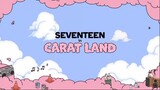 [ENG SUB] '23 SEVENTEEN IN CARATLAND D-DAY SKETCH