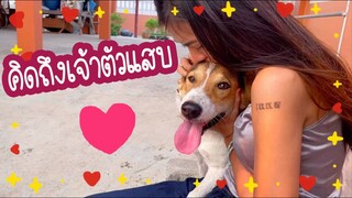 โลกของแสนดี ตอน พี่คนดีกลับมาจากหาดEODแล้ว