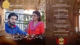 Yeh Na Thi Hamari Qismat Episode 29 [Eng Sub] Review Best Pakistan Drama 2022