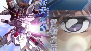 [Mobile Suit Gundam Seed/Meteor MAD2.0]What can you really defend only by faith!