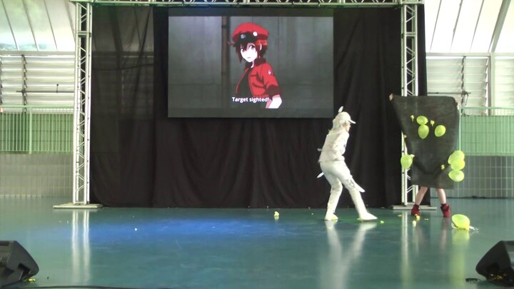 24º Campinas Anime Fest - Conc. Cosplay: Globulo Branco - Hataraku Saibou