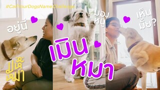 (EN) แกล้งมองไม่เห็นหมา - มหึหมา EP103