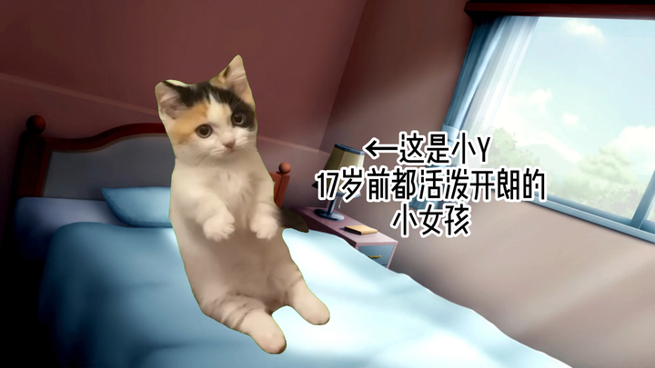 【Cat meme】Dropping out of school due to depression and then being reborn