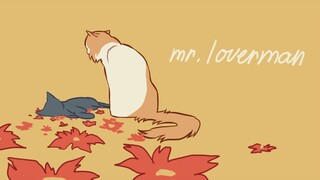 mr. lover man │ warrior cats animatic │ Fallen Leaves x Hollyleaf