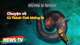 Chuyện về Cá Thành Tinh khổng lồ tại rừng U Minh