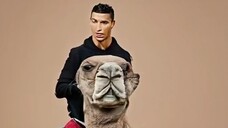 Cristiano Ronaldo rides a camel in Saudi Arabia