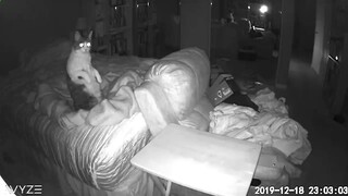 Real Ghost Captured on Camera Disturbing our Cats...........