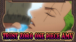 Trust Zoro, He Absolutly Won’t Lose