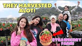 Our First Time PICKING STRAWBERRY in The PHILIPPINES!🍓🇵🇭