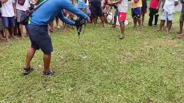 2nd fight lemon sweater