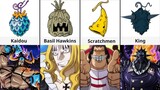 One Piece Kaido's Beasts Pirates Devil Fruits