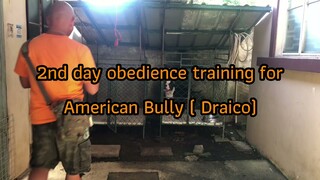 Paano itraining ang aso para hindi magmadali sa paglabas sa cage | Basic Obedience | American Bully