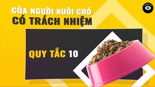 Những Điều Người Chủ Tốt Sẽ Không Làm Với Chó Của Họ #kienthuc