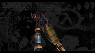 Half-Life: Weapons pack (With download link)