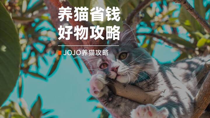 养猫平替好物，省下一套房不是梦，千万不要告诉其他喵友哦