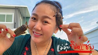 แมงดาไข่แซ่บๆจากร้านแม่น้อยปูนาดองสระบุรี